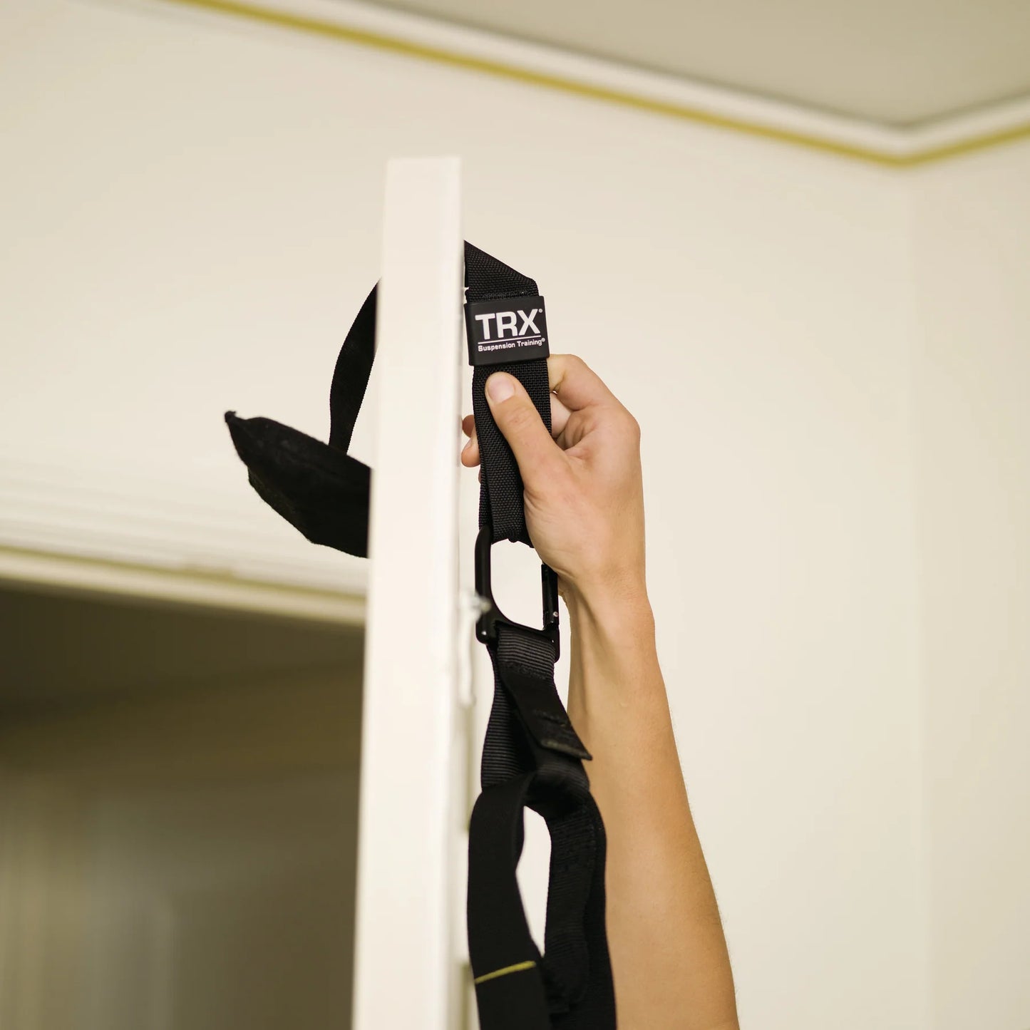 TRX Door Anchor